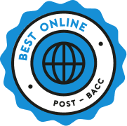 best online post-bacc image circle with globe in middle