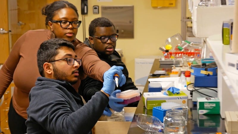 minority pre-med students getting hands on learning experience in a doctor's office