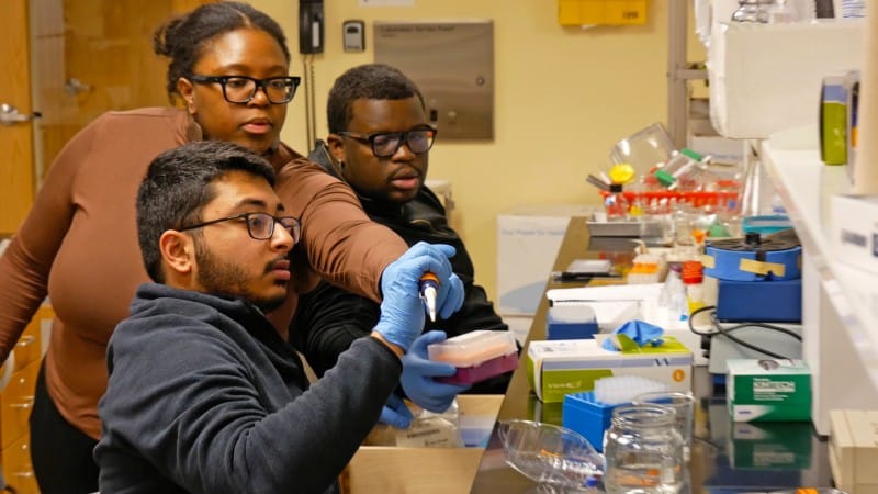 medical sciences students applying skills learned in the classroom minority pre-med students getting hands on learning experience in a doctor's office